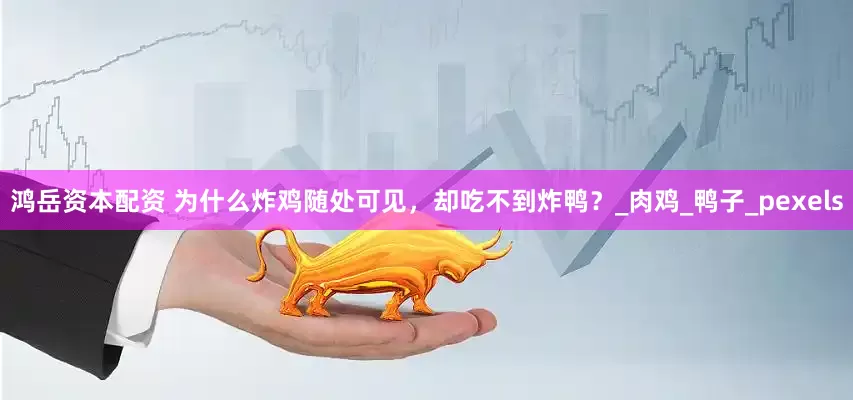 鸿岳资本配资 为什么炸鸡随处可见，却吃不到炸鸭？_肉鸡_鸭子_pexels