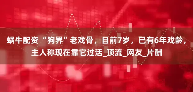 蜗牛配资 “狗界”老戏骨，目前7岁，已有6年戏龄，主人称现在靠它过活_顶流_网友_片酬
