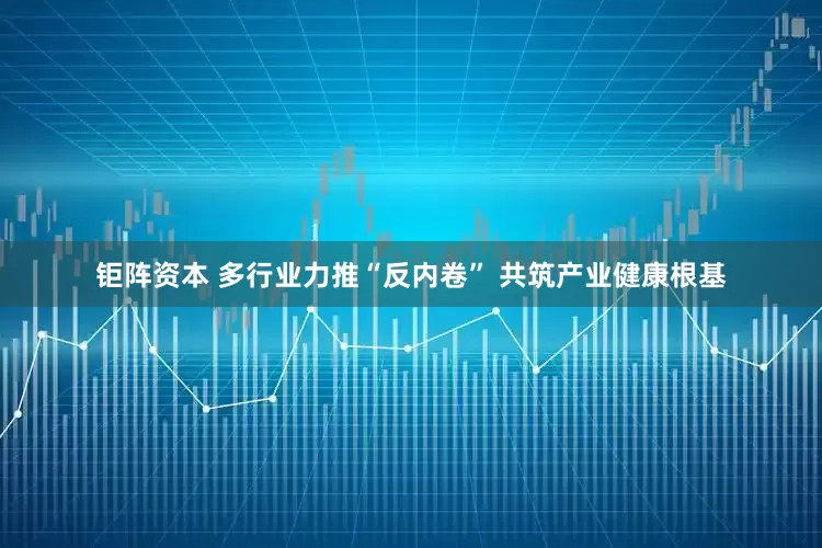 钜阵资本 多行业力推“反内卷” 共筑产业健康根基
