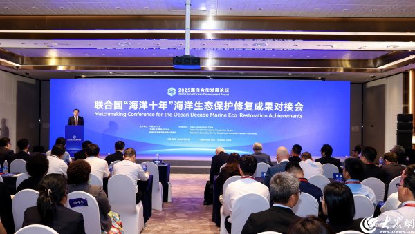 衡牛所 “海洋十年”海洋公益传播活动成果在青岛发布 超6000万玩家线上助力海洋保护