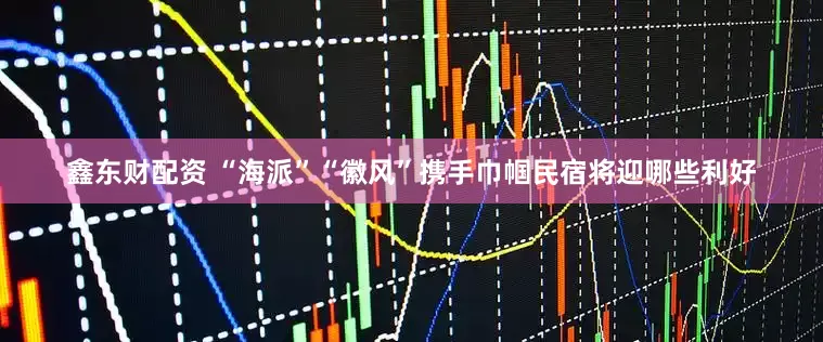 鑫东财配资 “海派”“徽风”携手巾帼民宿将迎哪些利好